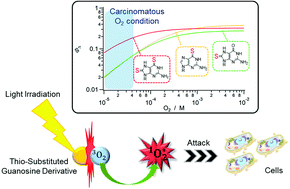 Graphical abstract: Characteristics of the excited triplet states of thiolated guanosine derivatives and singlet oxygen generation