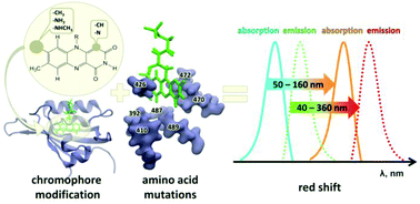 Graphical abstract: Novel flavin-based fluorescent proteins with red-shifted emission bands: a computational study