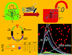 Graphical abstract: A differentially selective probe for trivalent chemosensor upon single excitation with cell imaging application: potential applications in combinatorial logic circuit and memory devices