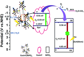 Graphical abstract: Eosin Y sensitized BiPO4 nanorods for bi-functionally enhanced visible-light-driven photocatalysis