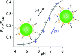 Graphical abstract: Core–shell polymeric nanoparticles comprising BODIPY and fluorescein as ultra-bright ratiometric fluorescent pH sensors