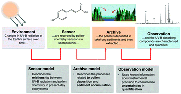 Graphical abstract: Fossil pollen and spores as a tool for reconstructing ancient solar-ultraviolet irradiance received by plants: an assessment of prospects and challenges using proxy-system modelling