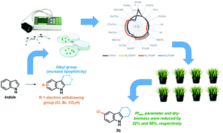 Graphical abstract: Synthesis and evaluation of indole derivatives as photosynthesis and plant growth inhibitors