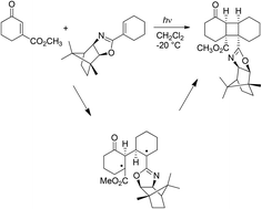 Graphical abstract: The chiral photocycloaddition of a cyclohexenone derivative with a chiral alkene. A DFT study