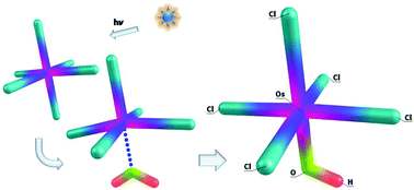 Graphical abstract: Quantum chemistry of OsCl62− photoaquation products and the reaction scheme