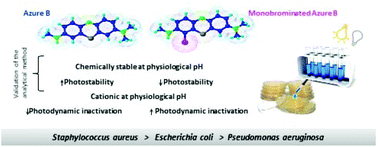 Graphical abstract: Evaluation of physicochemical properties and bacterial photoinactivation of phenothiazine photosensitizers
