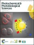 Graphical abstract: Inside front cover