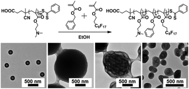 Graphical abstract: Topological engineering of amphiphilic copolymers via RAFT dispersion copolymerization of benzyl methacrylate and 2-(perfluorooctyl)ethyl methacrylate for polymeric assemblies with tunable nanostructures