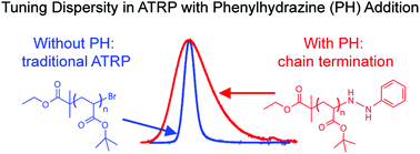 Graphical abstract: Dispersity control in atom transfer radical polymerizations through addition of phenylhydrazine