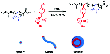 Graphical abstract: Synthesis of poly(ionic liquid)-based nano-objects with morphological transitions via RAFT polymerization-induced self-assembly in ethanol