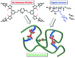 Graphical abstract: A healing ionomer crosslinked by a bis-bidentate halogen bond linker: a route to hard and healable coatings