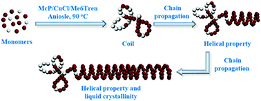 Graphical abstract: Gradient helical copolymers: synthesis, chiroptical properties, thermotropic liquid crystallinity, and self-assembly in selective organic solvents