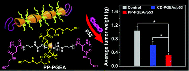 Graphical abstract: High-performance cationic polyrotaxanes terminated with polypeptides as promising nucleic acid delivery systems