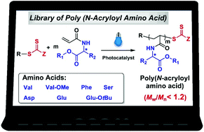 Graphical abstract: Precise synthesis of poly(N-acryloyl amino acid) through photoinduced living polymerization