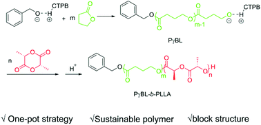 Graphical abstract: Preparation of biorenewable poly(γ-butyrolactone)-b-poly(l-lactide) diblock copolyesters via one-pot sequential metal-free ring-opening polymerization