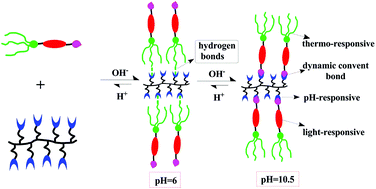 Graphical abstract: Controllable fabrication of novel pH-, thermo-, and light-responsive supramolecular dendronized copolymers with dual self-assembly behavior