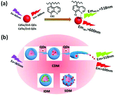 Graphical abstract: Coordination-induced assemblies of quantum dots in amphiphilic thermo-responsive block copolymer micelles: morphologies, optical properties and applications