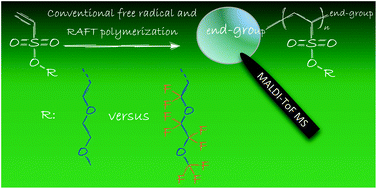 Graphical abstract: The effect of fluorination on chain transfer reactions in the radical polymerization of oligo ethylene glycol ethenesulfonate monomers