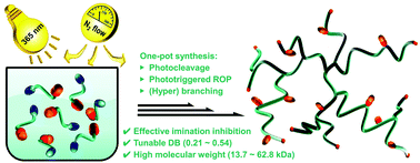 Graphical abstract: Hyperbranched polypeptides synthesized from phototriggered ROP of a photocaged Nε-[1-(2-nitrophenyl)ethoxycarbonyl]-l-lysine-N-carboxyanhydride: microstructures and effects of irradiation intensity and nitrogen flow rate