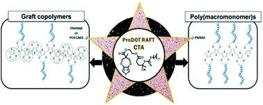 Graphical abstract: New electroactive macromonomers and multi-responsive PEDOT graft copolymers