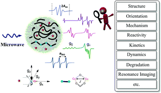 Graphical abstract: Recent progress in the electron paramagnetic resonance study of polymers