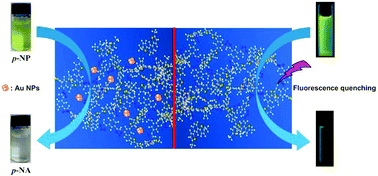 Graphical abstract: A 1,2,3-triazolyl based conjugated microporous polymer for sensitive detection of p-nitroaniline and Au nanoparticle immobilization