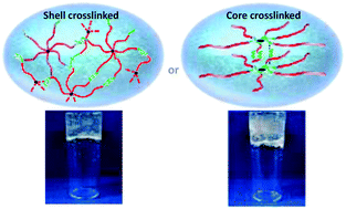 Graphical abstract: Disulphide crosslinked star block copolypeptide hydrogels: influence of block sequence order on hydrogel properties