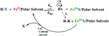 Graphical abstract: Ligand-free iron-based electrochemically mediated atom transfer radical polymerization of methyl methacrylate