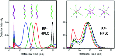 Graphical abstract: Reverse-phase high performance liquid chromatography (RP-HPLC) as a powerful tool to characterise complex water-soluble copolymer architectures