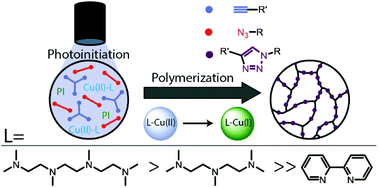 Graphical abstract: Copper ligand and anion effects: controlling the kinetics of the photoinitiated copper(i) catalyzed azide—alkyne cycloaddition polymerization