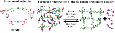 Graphical abstract: Thermoresponsive hybrid double-crosslinked networks using magnetic iron oxide nanoparticles as crossing points