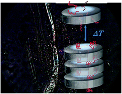 Graphical abstract: Reversible hierarchical structure induced by solvation and temperature modulation in an ionic liquid-based random bottlebrush copolymer