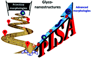 Graphical abstract: Polymerization induced self-assembly: an opportunity toward the self-assembly of polysaccharide-containing copolymers into high-order morphologies