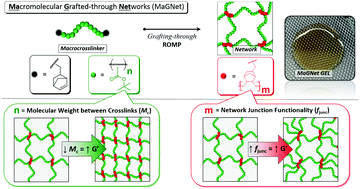 Graphical abstract: Grafting-through ROMP for gels with tailorable moduli and crosslink densities