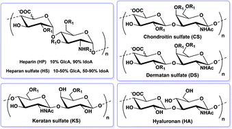 Graphical abstract: Chemical synthesis of glycosaminoglycan-mimetic polymers