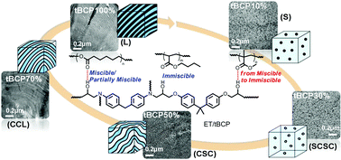 Graphical abstract: Synthesis of well-defined PCL-b-PnBA-b-PMMA ABC-type triblock copolymers: toward the construction of nanostructures in epoxy thermosets