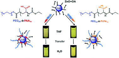 Graphical abstract: Luminescent zinc oxide nanoparticles: from stabilization to slow digestion depending on the nature of polymer coating