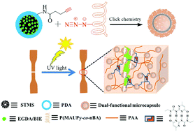 Graphical abstract: Fabrication of self-healing hydrogels with surface functionalized microcapsules from stellate mesoporous silica