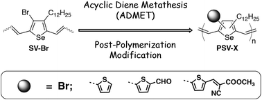 Graphical abstract: Cross-conjugated poly(selenylene vinylene)s