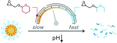 Graphical abstract: Tailorable degradation of pH-responsive all polyether micelles via copolymerisation with varying acetal groups