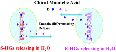 Graphical abstract: Chiral, thermal-responsive hydrogels containing helical hydrophilic polyacetylene: preparation and enantio-differentiating release ability