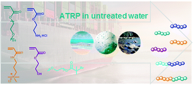 Graphical abstract: Pushing the limits of robust and eco-friendly ATRP processes: untreated water as the solvent