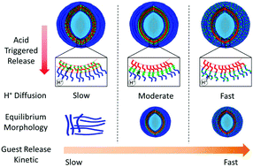 Graphical abstract: Spatiotemporal control over the host–guest characteristics of a stimulus-triggerable trifunctional polymer assembly