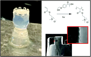 Graphical abstract: Vat photopolymerization of charged monomers: 3D printing with supramolecular interactions