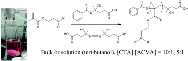 Graphical abstract: RAFT-mediated polymerisation of dialkylaminoethyl methacrylates in tert-butanol