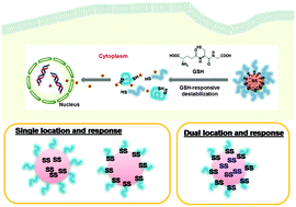 Graphical abstract: Disassembly and tumor-targeting drug delivery of reduction-responsive degradable block copolymer nanoassemblies