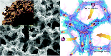 Graphical abstract: NiMoO4 nanorod deposited carbon sponges with ant-nest-like interior channels for high-performance pseudocapacitors