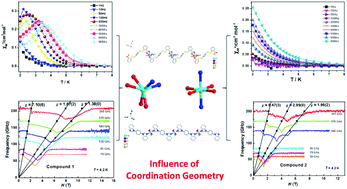 Graphical abstract: Field-induced slow magnetic relaxation of two 1-D compounds containing six-coordinated cobalt(ii) ions: influence of the coordination geometry