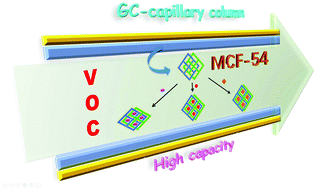 Graphical abstract: A flexible metal–organic framework with adaptive pores for high column-capacity gas chromatographic separation