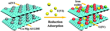 Graphical abstract: Macroscopic and microscopic investigation of uranium elimination by Ca–Mg–Al-layered double hydroxide supported nanoscale zero valent iron